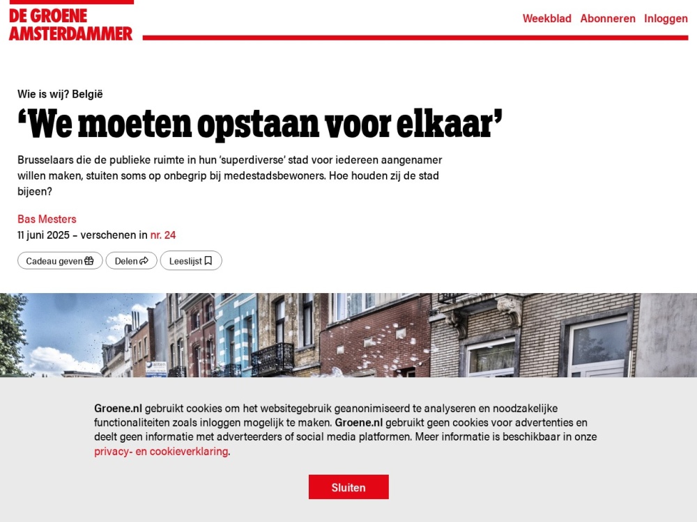 Screenshot van het artikel 'We moeten opstaan voor elkaar' op De Groene Amsterdammer